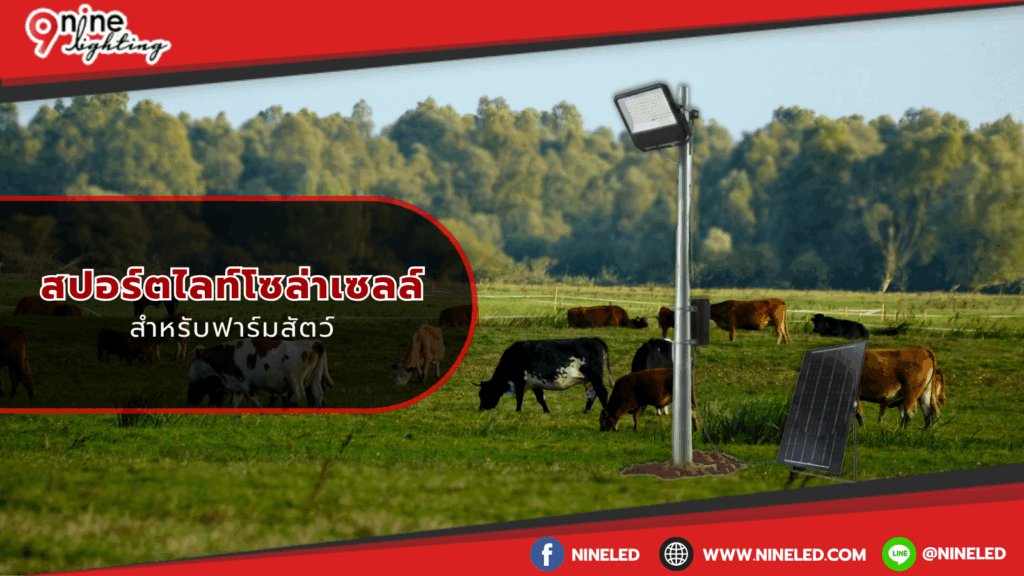 วอเตอร์สต๊อป